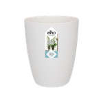 brussels orchidee hoog 12,5cm wit
